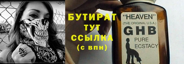 дживик Туринск