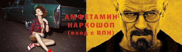 дживик Туринск