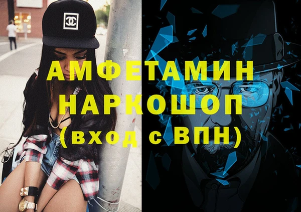 дживик Туринск