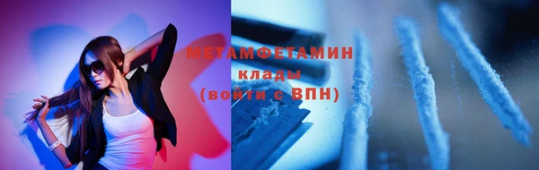 дживик Туринск