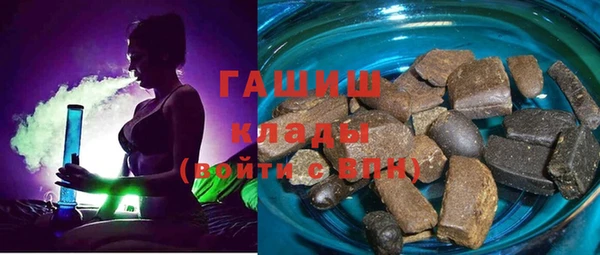 дживик Туринск