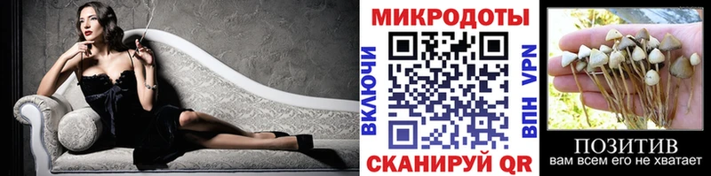 Псилоцибиновые грибы Cubensis  Купить  Сортавала 